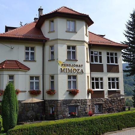 Pensjonat Mimoza Świeradów-Zdrój Esterno foto